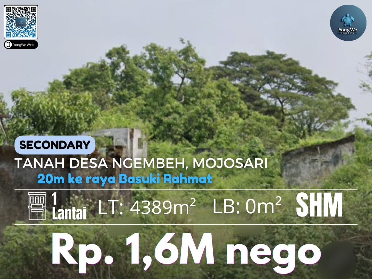 Tanah